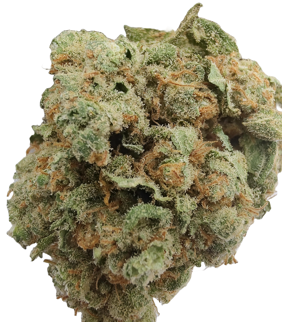 CORELATO - CBD - Hydro 