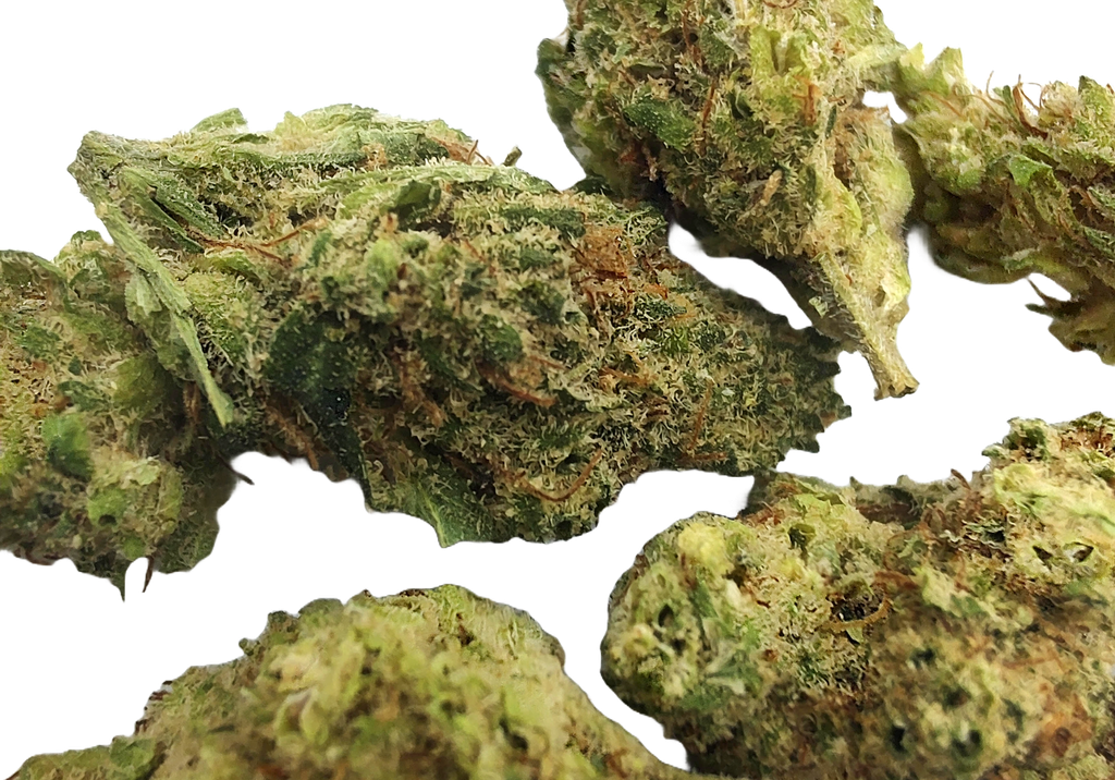 PLUTONIUM Small bud - CBD - HYDRO