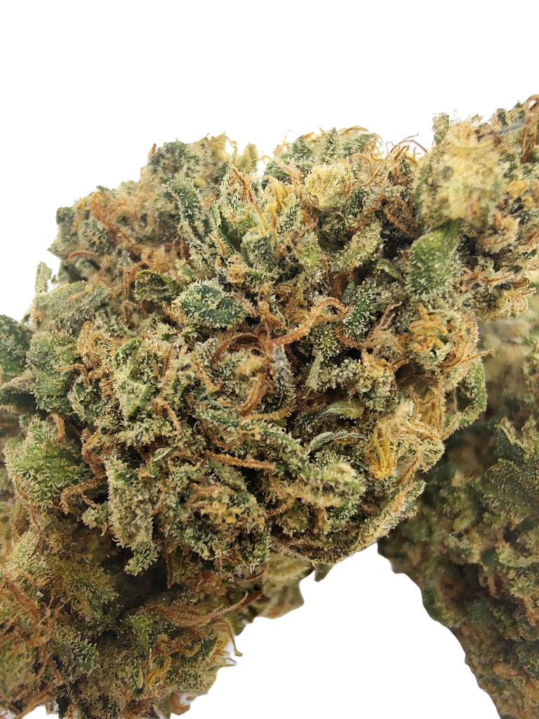 TROPICANA COOKIES - CBD - Hydro 